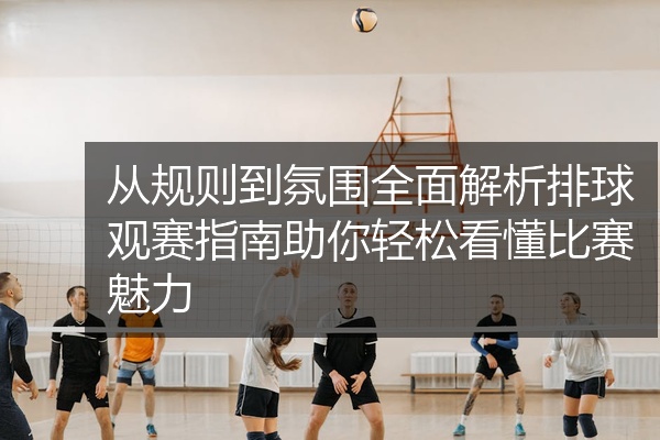 从规则到氛围全面解析排球观赛指南助你轻松看懂比赛魅力